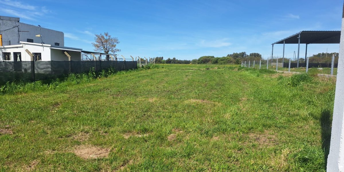 26f68b1b-69cd-41f9-9823-d66c609cfd98