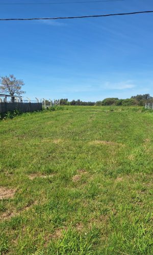 4537f86b-e56a-4b55-b65d-c25a0f7d8d4f