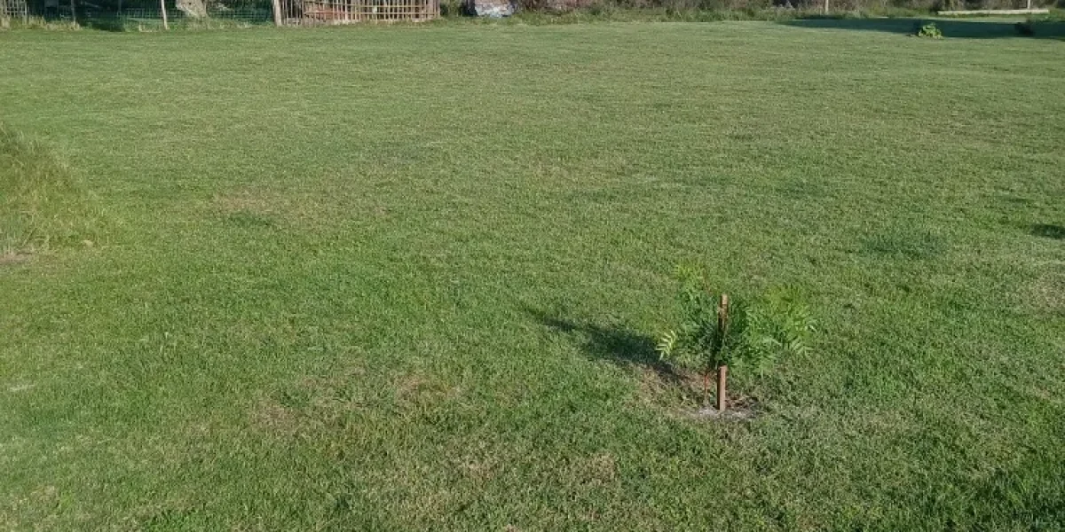 D_NQ_NP_2X_615838-MLU83582759226_042025-F