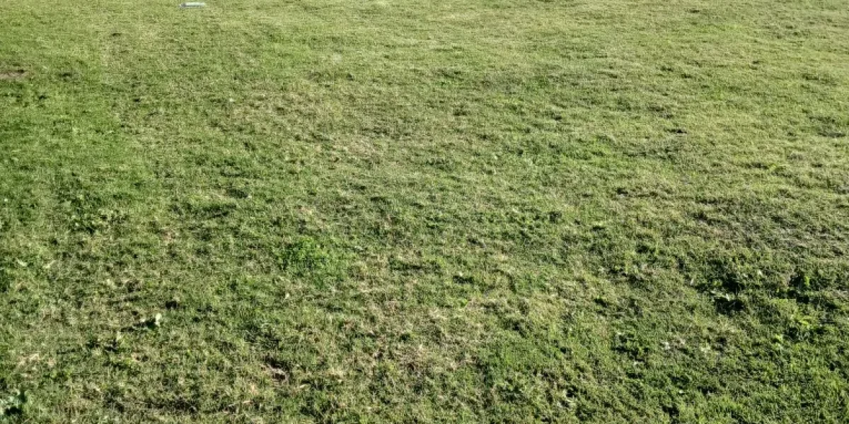 D_NQ_NP_2X_699929-MLU83876035431_042025-F