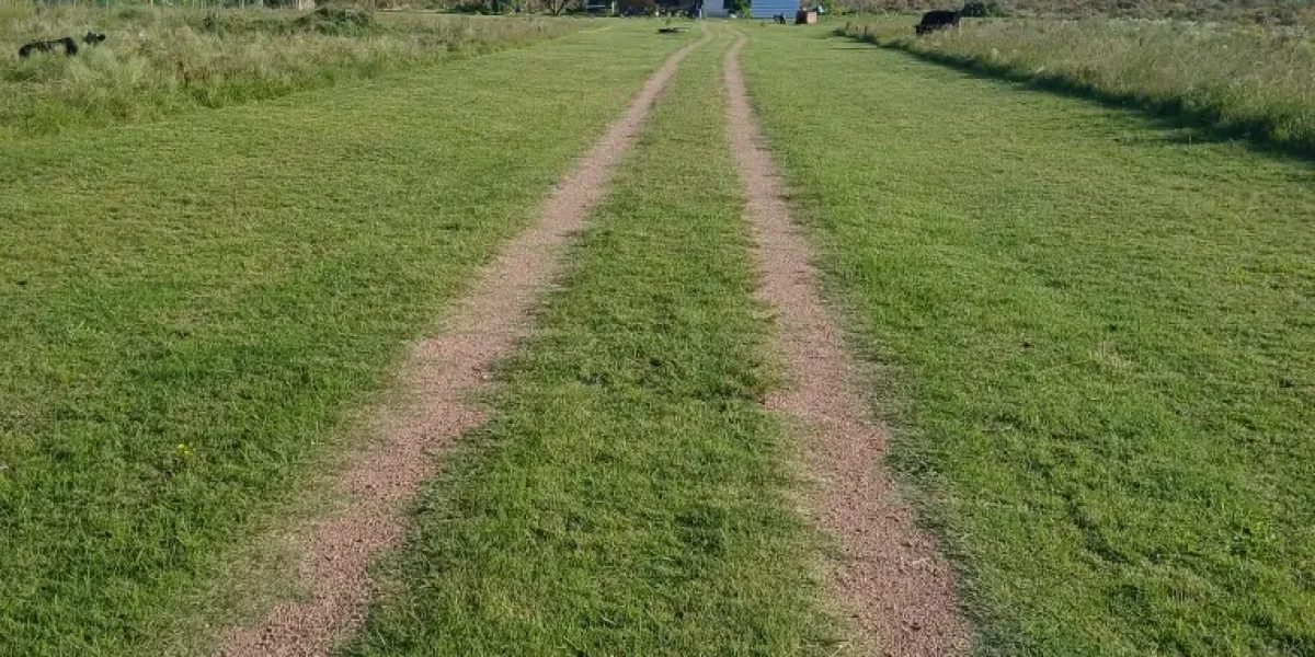 D_NQ_NP_2X_739915-MLU83583045318_042025-F