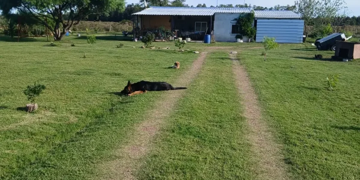 D_NQ_NP_2X_938285-MLU83876035437_042025-F