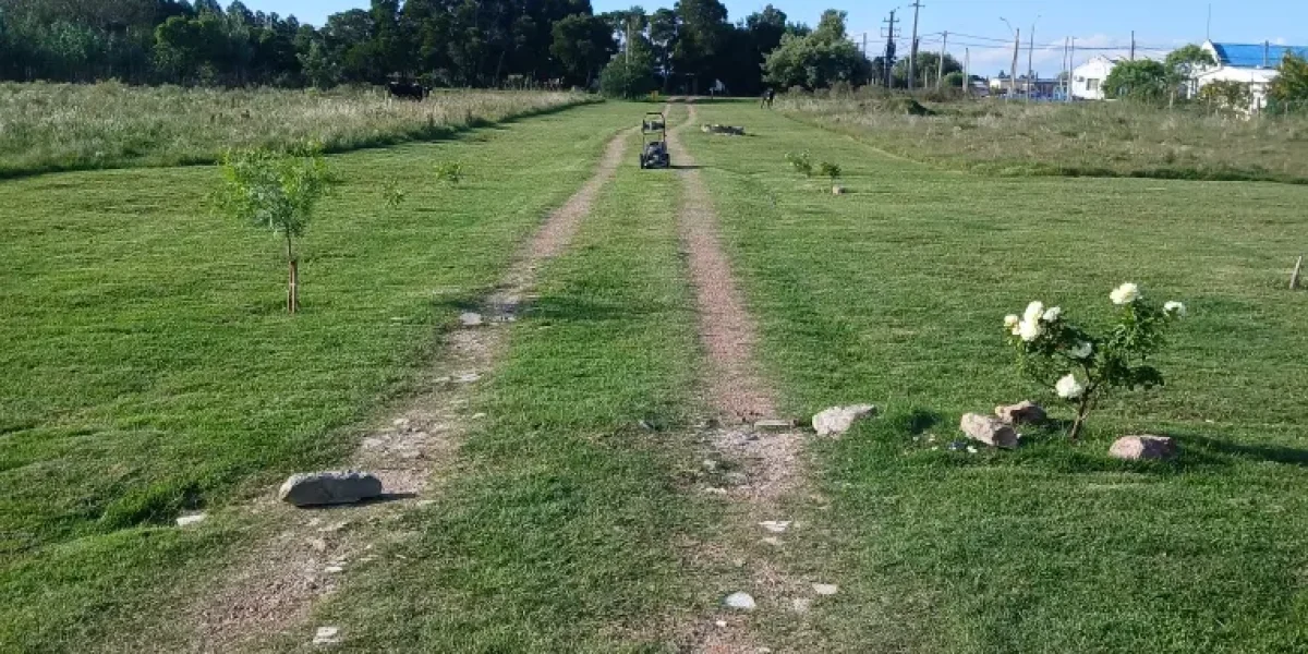 D_NQ_NP_2X_981586-MLU83875986041_042025-F