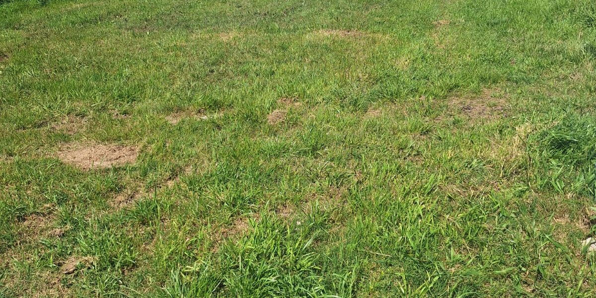 bac76c44-aa0c-411c-8395-2cf92474a9a7